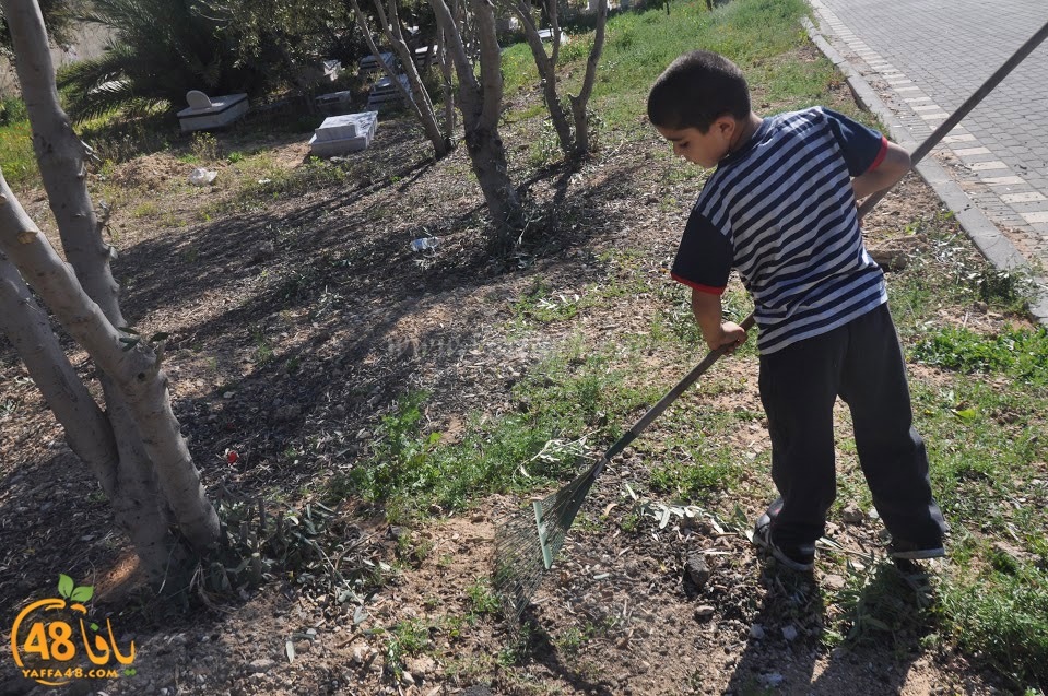 tasohamlalanjna (22).jpg